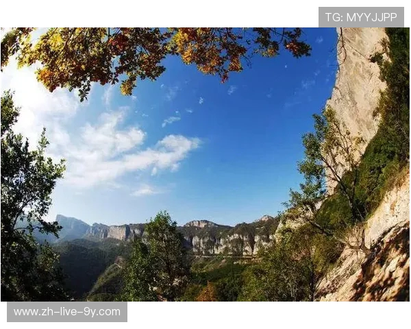 上海攀岩队的成功运营模式与发展策略深度解析