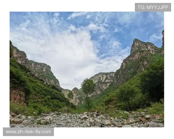 与李伟对话：探索他的街舞生涯与艺术追求之路