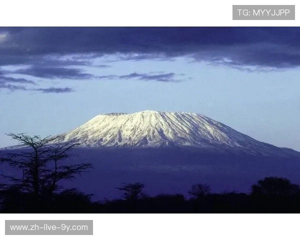 刘秀英亲述攀岩技巧与心得体会助你轻松征服高峰